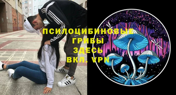 каннабис Беломорск