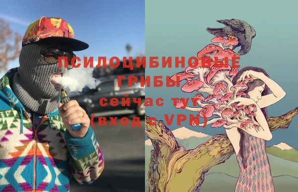 2c-b Верхний Тагил